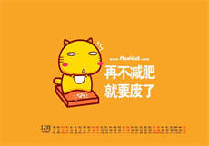 小虎视频电视剧
